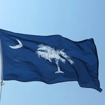 Candiway Amerikos vietos vėliavos poliesteris spausdinimo Pietų Karolina ŠALIGATVIO NAUJAS BANNER Poliesteris Reklama Flying150* 90cm lauko
